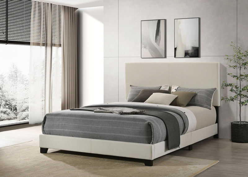 Dorian Beds 2