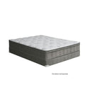 Aleksa 11 Euro Top Mattress (Non-Flip)