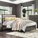 Berenice Bed Purple Brown