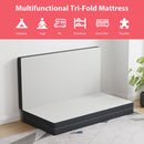 Hollyhock 3" Queen Tri-Fold Memory Foam Topper